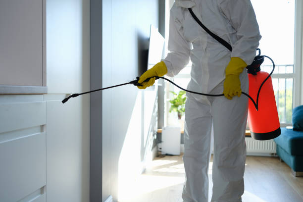 Best Attic Mold Removal  in Long Branch, NJ
